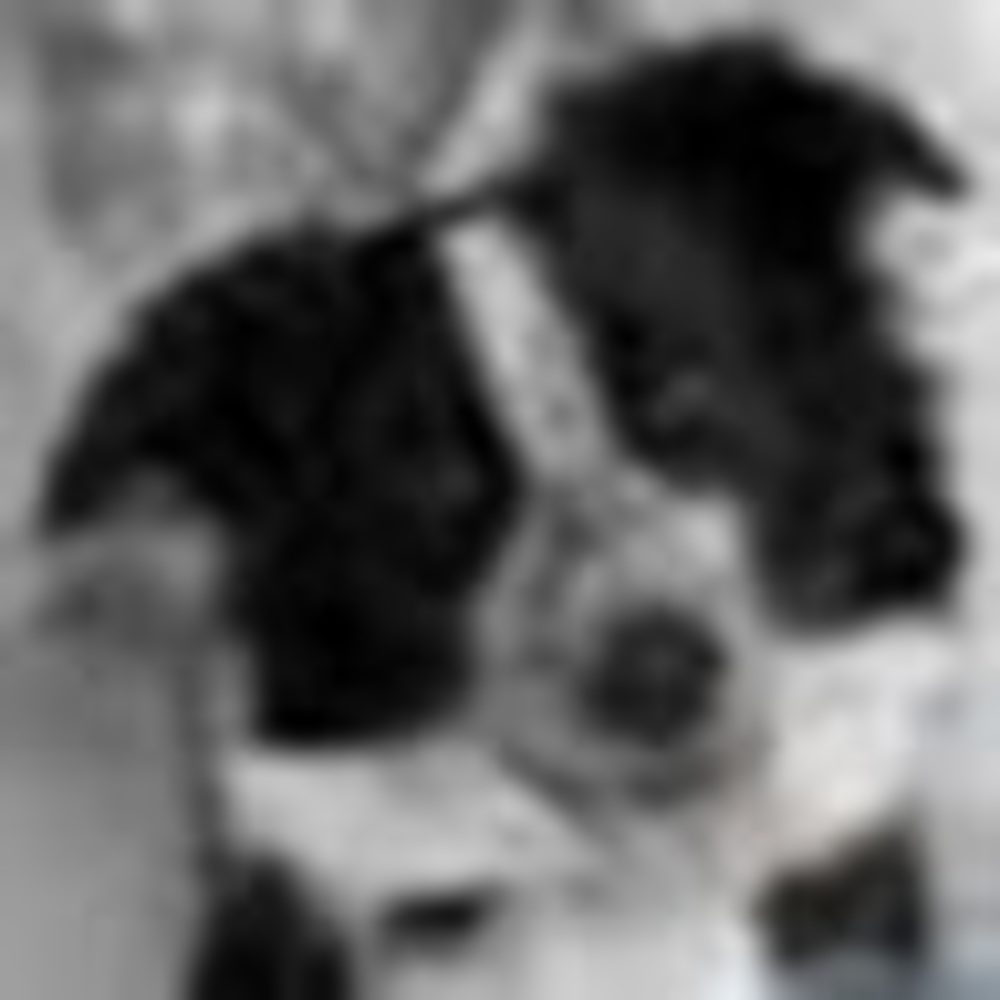 Meet your Posher, Sandy